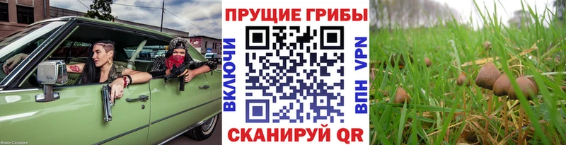 Галлюциногенные грибы мухоморы  наркотики  Изобильный 